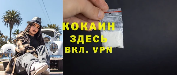 ПСИЛОЦИБИНОВЫЕ ГРИБЫ Вяземский