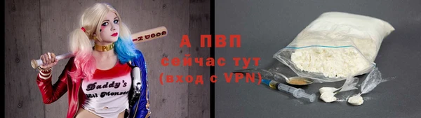 ПСИЛОЦИБИНОВЫЕ ГРИБЫ Вяземский