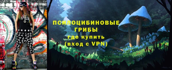 прущая мука Вязники