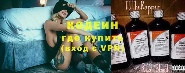 ПСИЛОЦИБИНОВЫЕ ГРИБЫ Вяземский