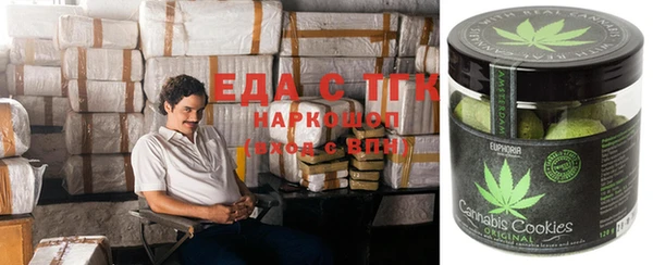 ПСИЛОЦИБИНОВЫЕ ГРИБЫ Вяземский