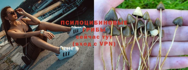 прущая мука Вязники