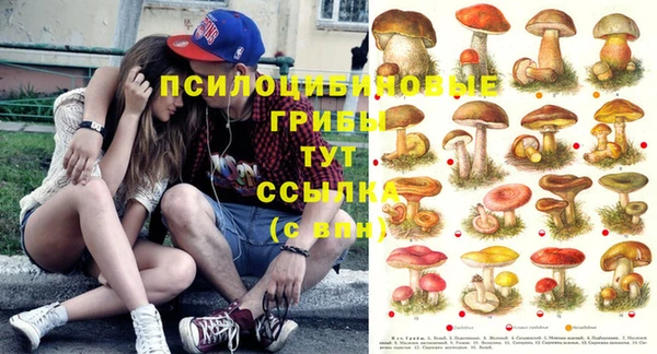ПСИЛОЦИБИНОВЫЕ ГРИБЫ Вяземский