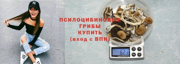 ПСИЛОЦИБИНОВЫЕ ГРИБЫ Вяземский