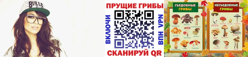 Псилоцибиновые грибы Psilocybe  Купить где  Темрюк 
