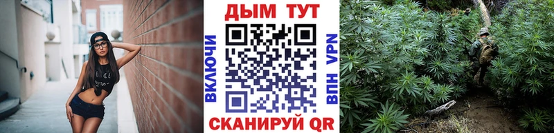 Купить где  Темрюк  Шишки марихуана план 